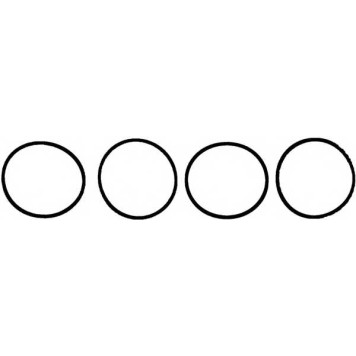 Комплект прокладок впускного коллектора REINZ 11-36956-01