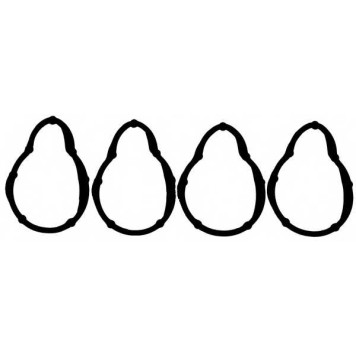 Комплект прокладок впускного коллектора REINZ 11-37141-01