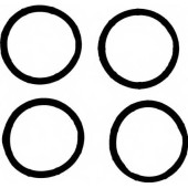 Комплект прокладок впускного коллектора REINZ 11-37824-01