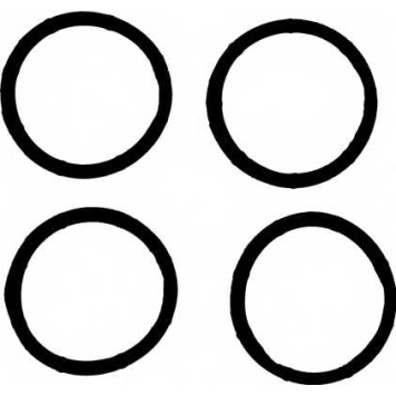 Комплект прокладок впускного коллектора REINZ 11-37824-01