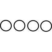 Комплект прокладок впускного коллектора REINZ 11-38519-01