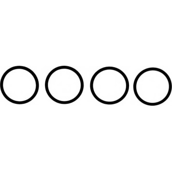 Комплект прокладок впускного коллектора REINZ 11-38519-01