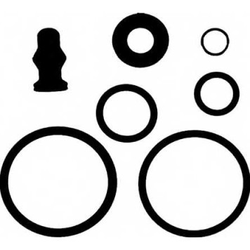 Ремкомплект распылителя REINZ 15-38642-01