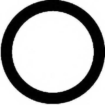 Прокладка впускного коллектора REINZ 40-76752-00