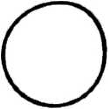 Прокладка впускного коллектора REINZ 40-77534-00