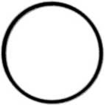 Прокладка впускного коллектора REINZ 40-77557-00