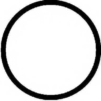 Прокладка головки цилиндра REINZ 61-25315-10