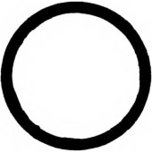 Прокладка, компрессор REINZ 71-10178-00