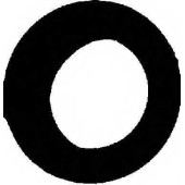 Прокладка корпуса впускного коллектора REINZ 71-25876-00