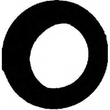 Прокладка корпуса впускного коллектора REINZ 71-25876-00