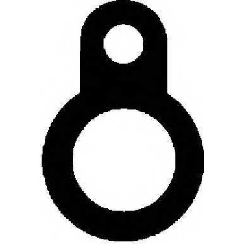 Прокладка, болт крышка головки цилиндра REINZ 71-28486-00