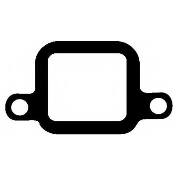 Прокладка впускного коллектора REINZ 71-31163-10