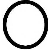 Прокладка крышки головки цилиндра REINZ 71-31649-00