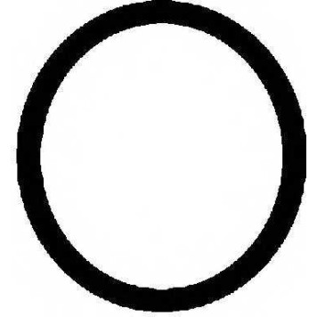 Прокладка крышки головки цилиндра REINZ 71-31649-00