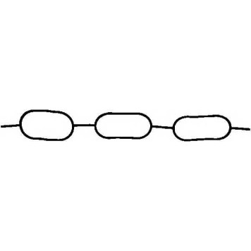 Прокладка впускного коллектора REINZ 71-31801-00