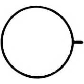 Прокладка корпуса впускного коллектора REINZ 71-33176-00