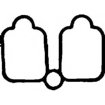 Прокладка впускного коллектора REINZ 71-33663-00