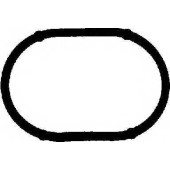 Прокладка впускного коллектора REINZ 71-34097-00