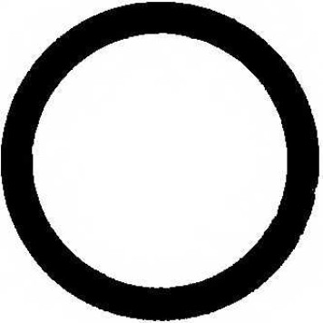 Прокладка выхлопной трубы REINZ 71-34244-00