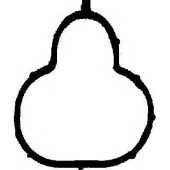 Прокладка впускного коллектора REINZ 71-34321-00