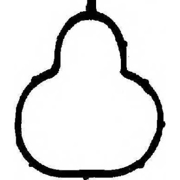 Прокладка впускного коллектора REINZ 71-34321-00