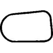 Прокладка впускного коллектора REINZ 71-34474-00