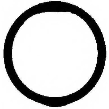 Прокладка впускного коллектора REINZ 71-35248-00