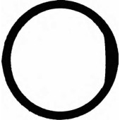 Прокладка впускного коллектора REINZ 71-35249-00