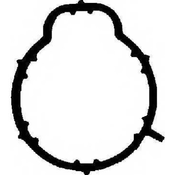 Прокладка впускного коллектора REINZ 71-35377-00