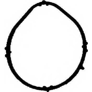 Прокладка впускного коллектора REINZ 71-35381-00