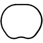 Прокладка впускного коллектора REINZ 71-35533-00