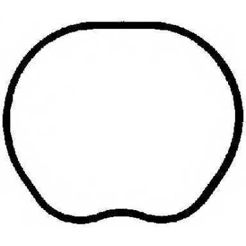 Прокладка впускного коллектора REINZ 71-35533-00