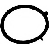 Прокладка впускного коллектора REINZ 71-35681-00