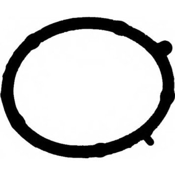 Прокладка впускного коллектора REINZ 71-35681-00