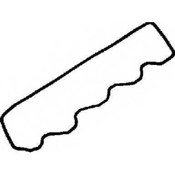 Прокладка крышки головки цилиндра REINZ 71-36054-00