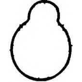 Прокладка впускного коллектора REINZ 71-36064-00