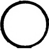 Прокладка впускного коллектора REINZ 71-36066-00