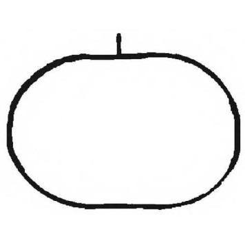 Прокладка впускного коллектора REINZ 71-36409-00