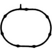 Прокладка впускного коллектора REINZ 71-36581-00