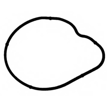 Прокладка термостата REINZ 71-36584-00