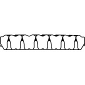 Прокладка крышки головки цилиндра REINZ 71-37036-00