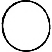 Прокладка выпускного коллектора REINZ 71-37213-00