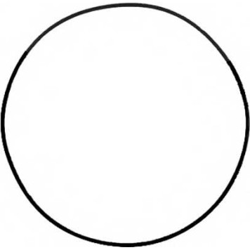 Прокладка крышки головки цилиндра REINZ 71-37691-00