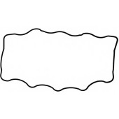 Прокладка крышки головки цилиндра REINZ 71-38167-00