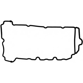 Прокладка крышки головки цилиндра REINZ 71-38171-00