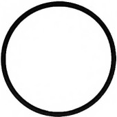 Прокладка впускного коллектора REINZ 71-39303-00