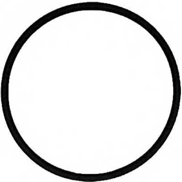 Прокладка впускного коллектора REINZ 71-39303-00