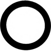 Прокладка впускного коллектора REINZ 71-40534-00