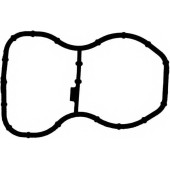 Прокладка впускного коллектора REINZ 71-41231-00