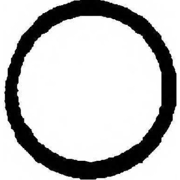 Прокладка выхлопной трубы REINZ 71-52144-00